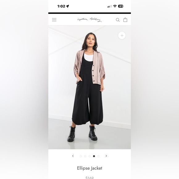 Stunning Cynthia Ashby Elipse Lagenlook  Linen European Style Dawn Size 2. - Picture 4 of 16